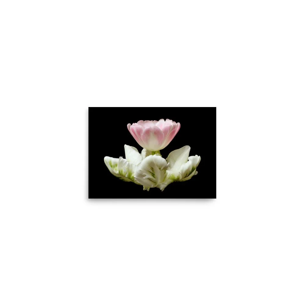 enhanced-matte-paper-poster-(in)-5x7-front-6a8f661b255bd.jpg