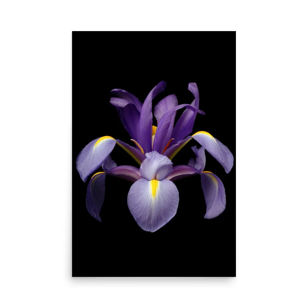 enhanced-matte-paper-poster-(in)-24x36-front-6a8f845b5aa07.jpg