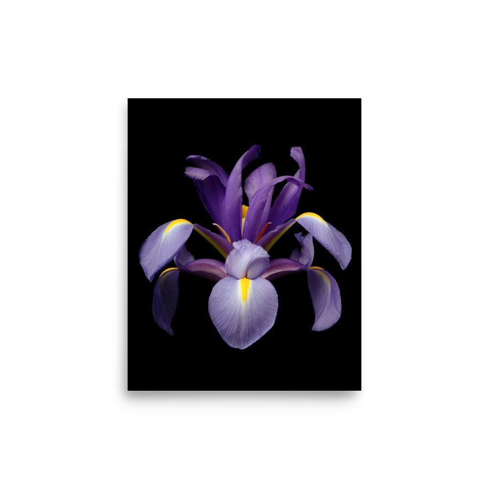 enhanced-matte-paper-poster-(in)-8x10-front-6a8f845b5aae6.jpg