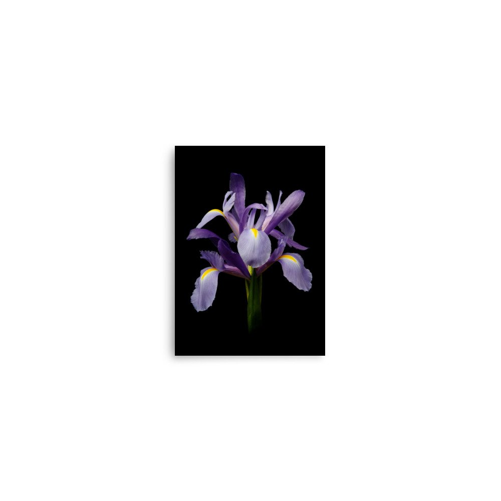 enhanced-matte-paper-poster-(in)-5x7-front-6a8f86f735a5c.jpg