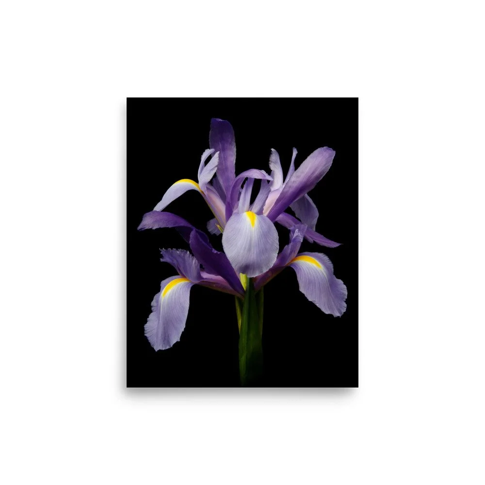 enhanced-matte-paper-poster-(in)-8x10-front-6a8f86f735aab.jpg