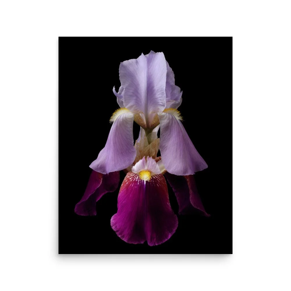 enhanced-matte-paper-poster-(in)-16x20-front-6a8f8d9f3eeca.jpg