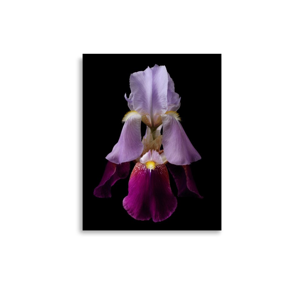 enhanced-matte-paper-poster-(in)-11x14-front-6a8f8d9f3f771.jpg