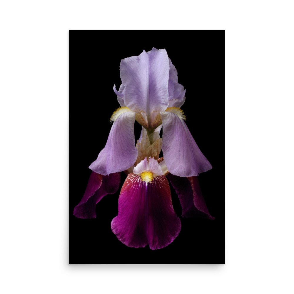 enhanced-matte-paper-poster-(in)-24x36-front-6a8f8d9f3f7e0.jpg