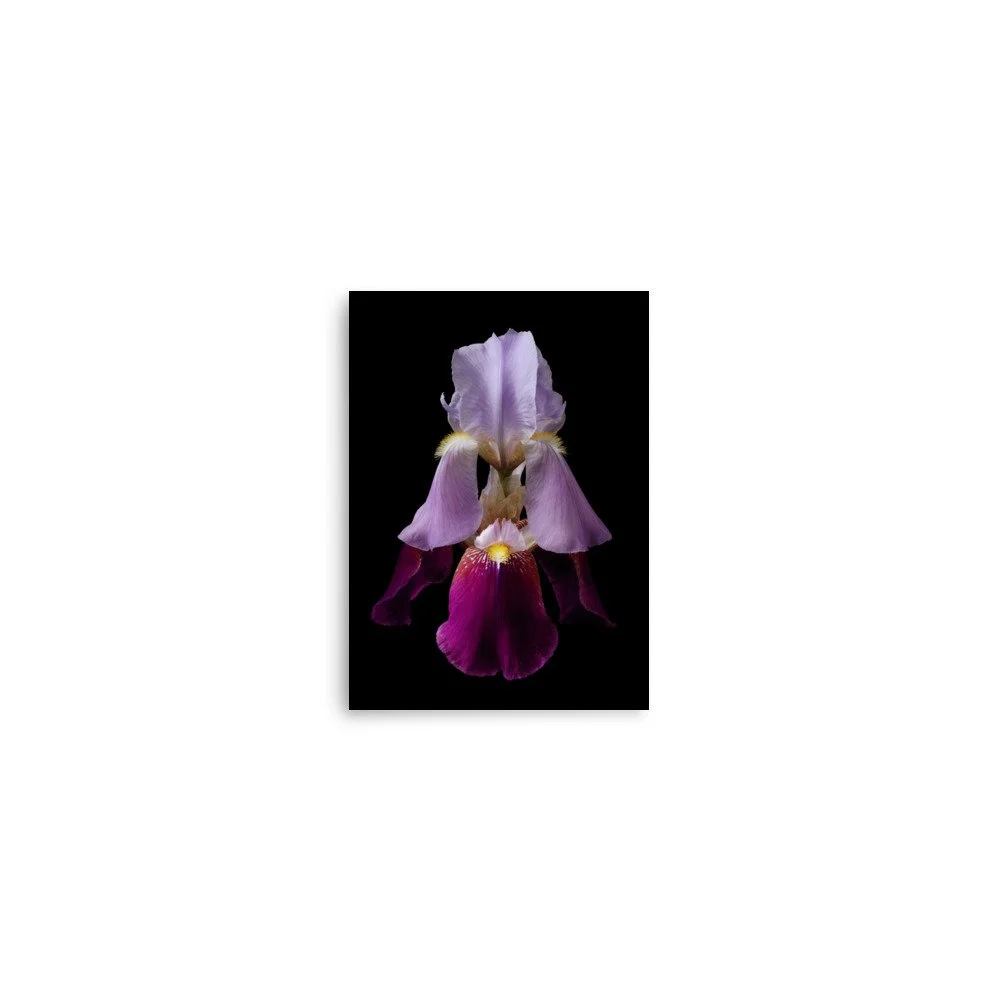 enhanced-matte-paper-poster-(in)-5x7-front-6a8f8d9f3f842.jpg
