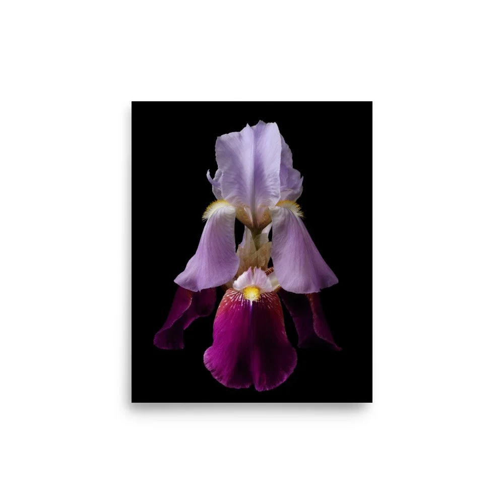 enhanced-matte-paper-poster-(in)-8x10-front-6a8f8d9f3f887.jpg