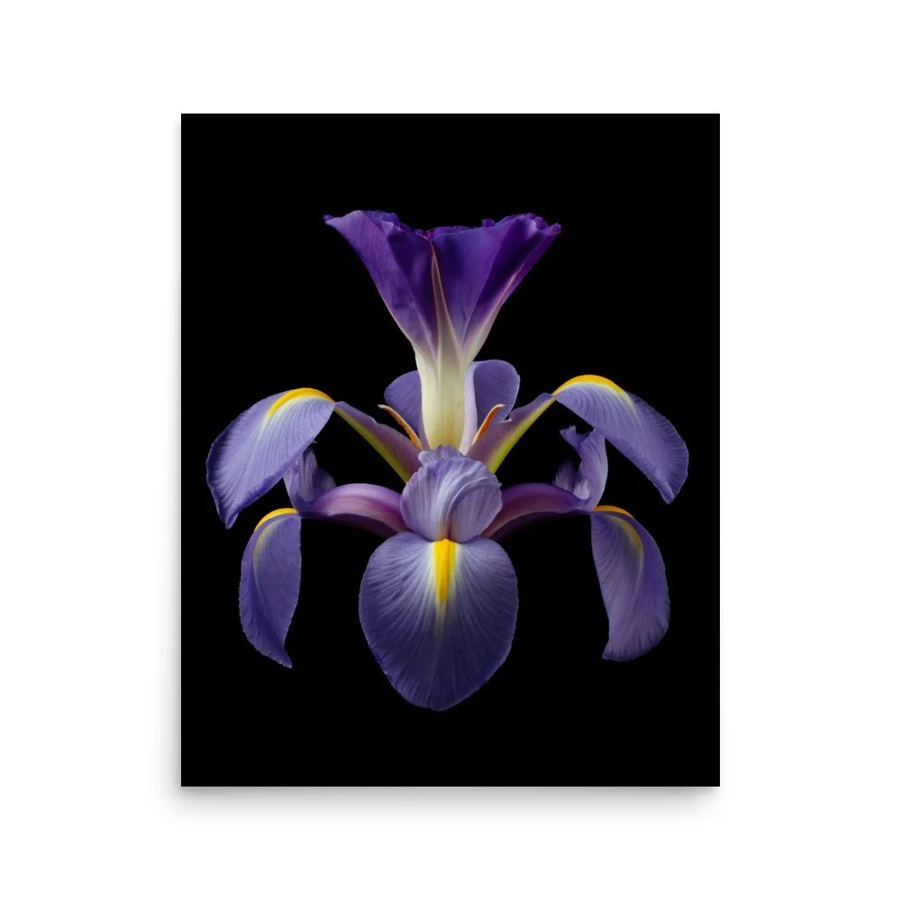 enhanced-matte-paper-poster-(in)-16x20-front-6a8f9049c3c10.jpg