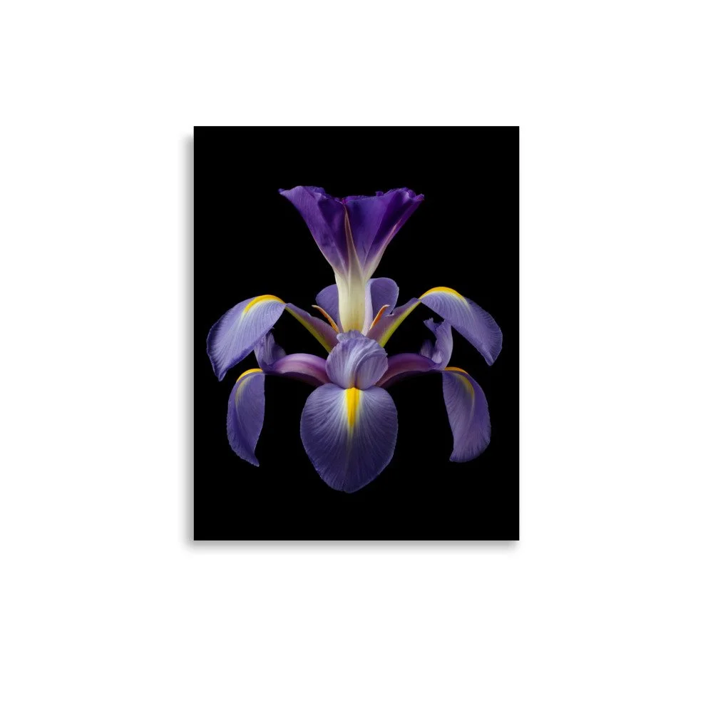 enhanced-matte-paper-poster-(in)-11x14-front-6a8f9049c44a6.jpg