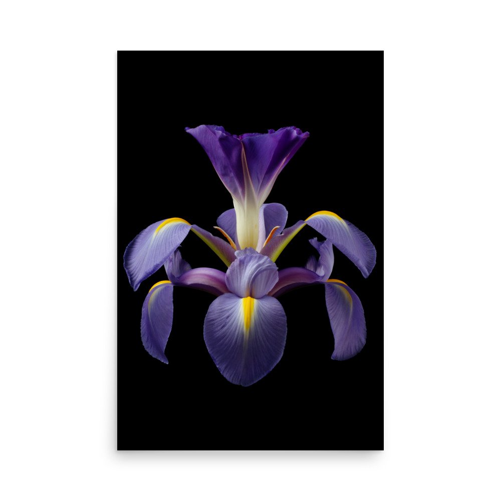 enhanced-matte-paper-poster-(in)-24x36-front-6a8f9049c4525.jpg
