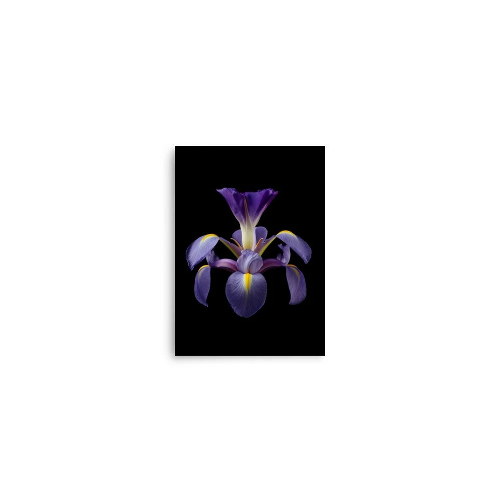 enhanced-matte-paper-poster-(in)-5x7-front-6a8f9049c458c.jpg