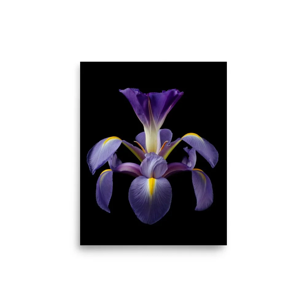 enhanced-matte-paper-poster-(in)-8x10-front-6a8f9049c45ce.jpg