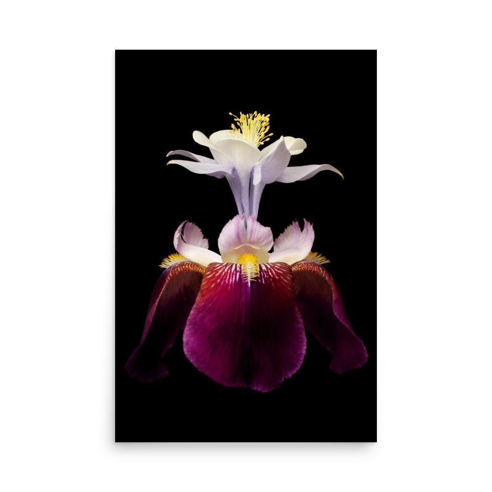 enhanced-matte-paper-poster-(in)-24x36-front-6a8f93b3787d5.jpg