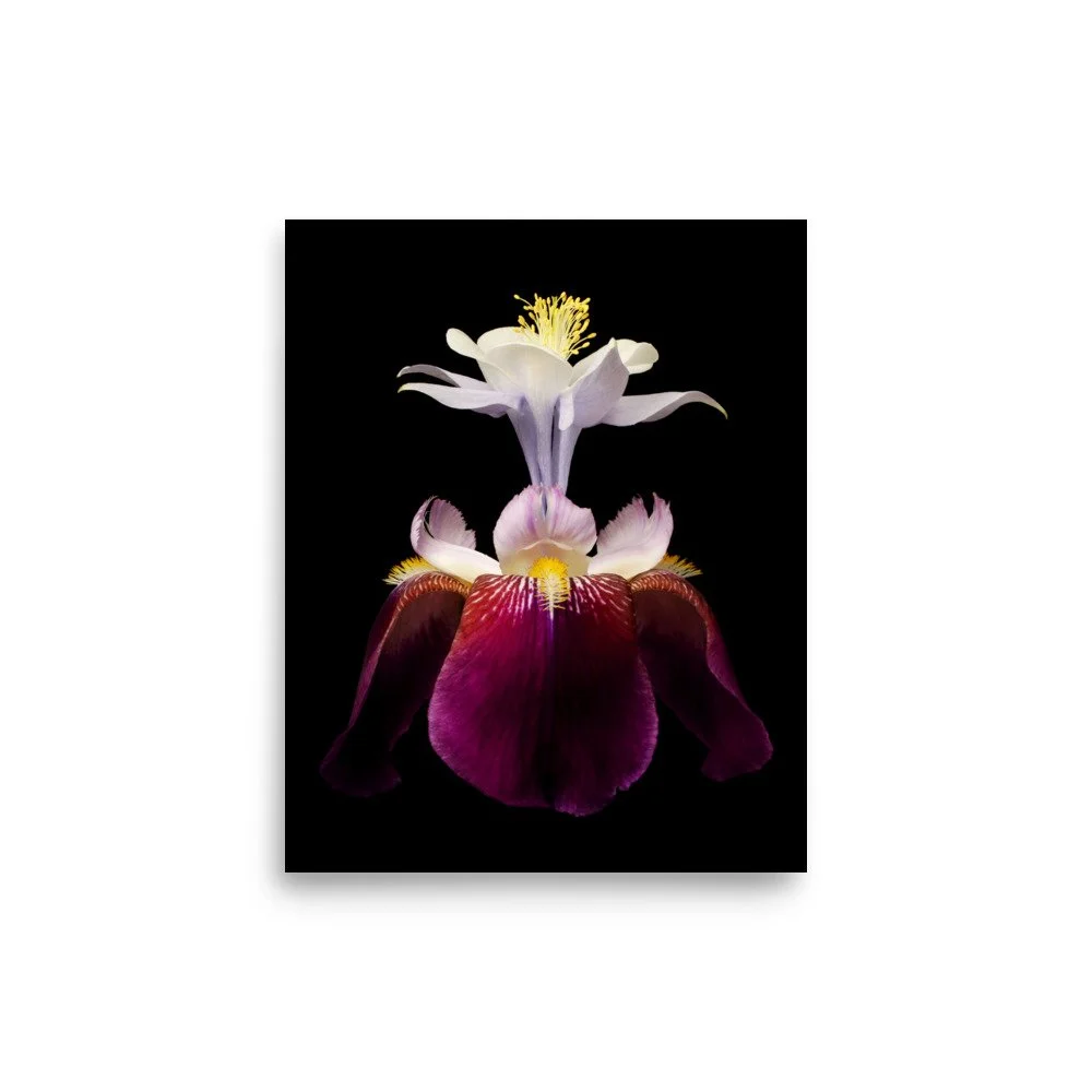enhanced-matte-paper-poster-(in)-8x10-front-6a8f93b378850.jpg