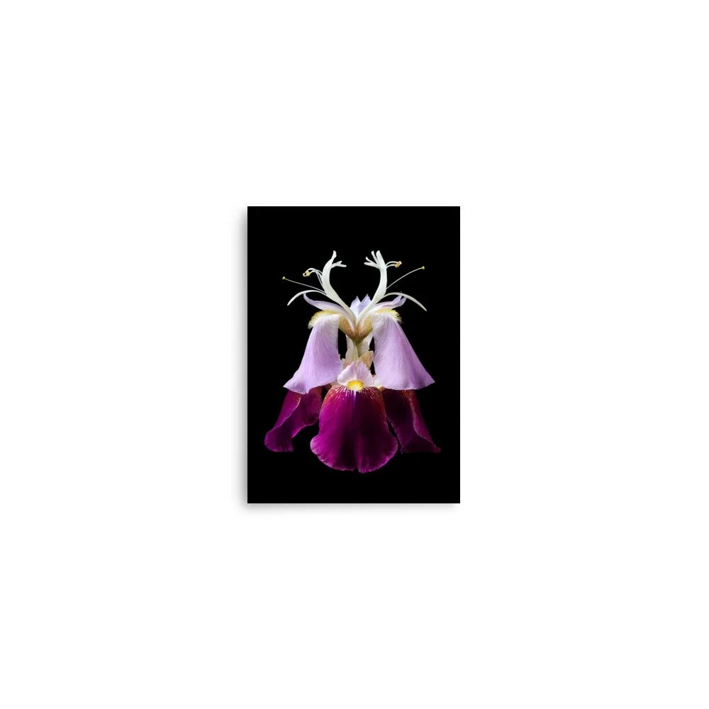 enhanced-matte-paper-poster-(in)-5x7-front-6a8f98484b4a7.jpg