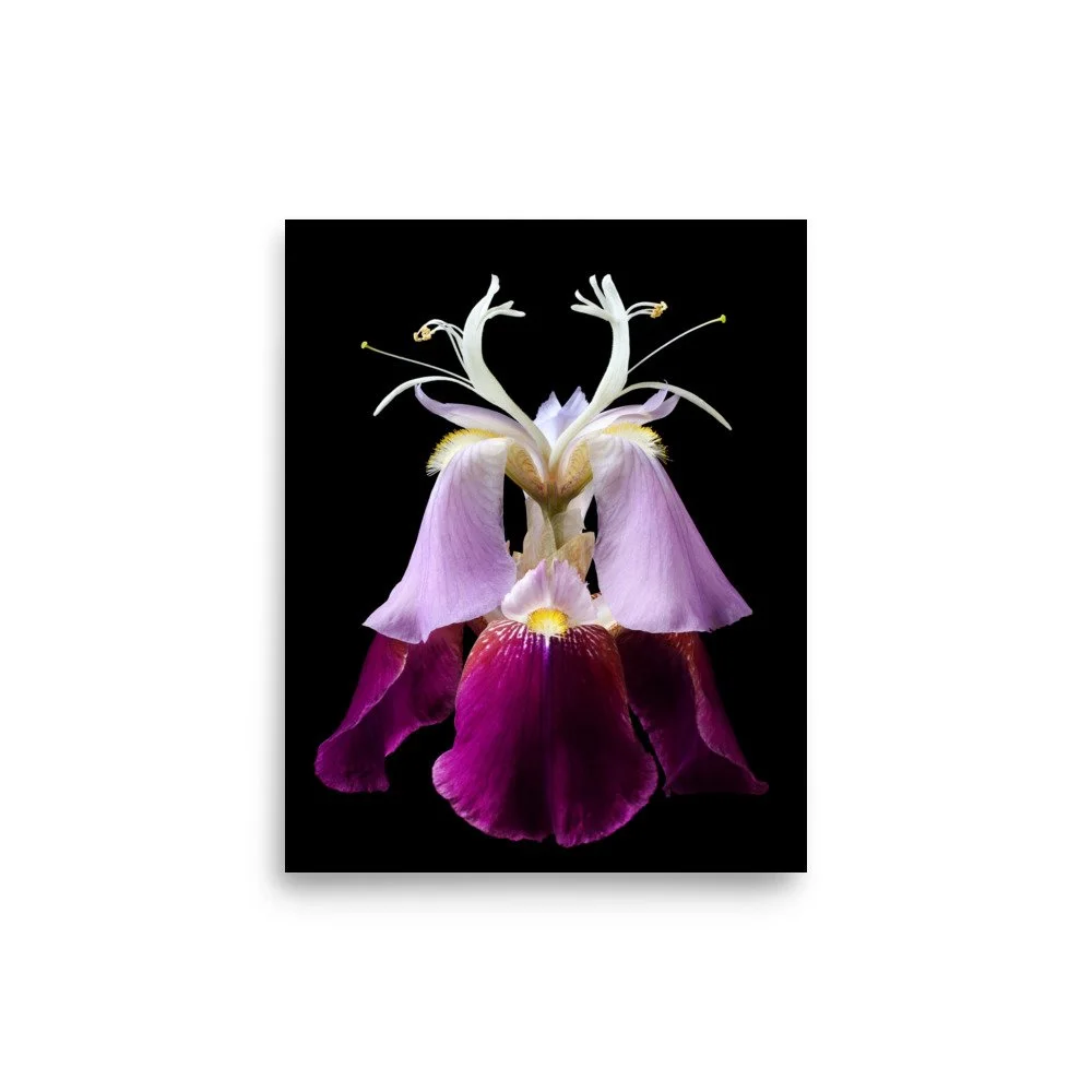 enhanced-matte-paper-poster-(in)-8x10-front-6a8f98484b4e5.jpg