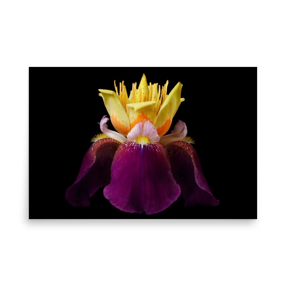 enhanced-matte-paper-poster-(in)-24x36-front-6a8f9c39eebff.jpg