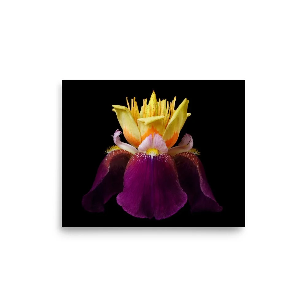enhanced-matte-paper-poster-(in)-8x10-front-6a8f9c39eec7b.jpg