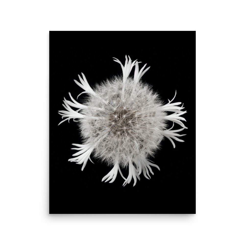 enhanced-matte-paper-poster-(in)-16x20-front-6a90ccaaad998.jpg