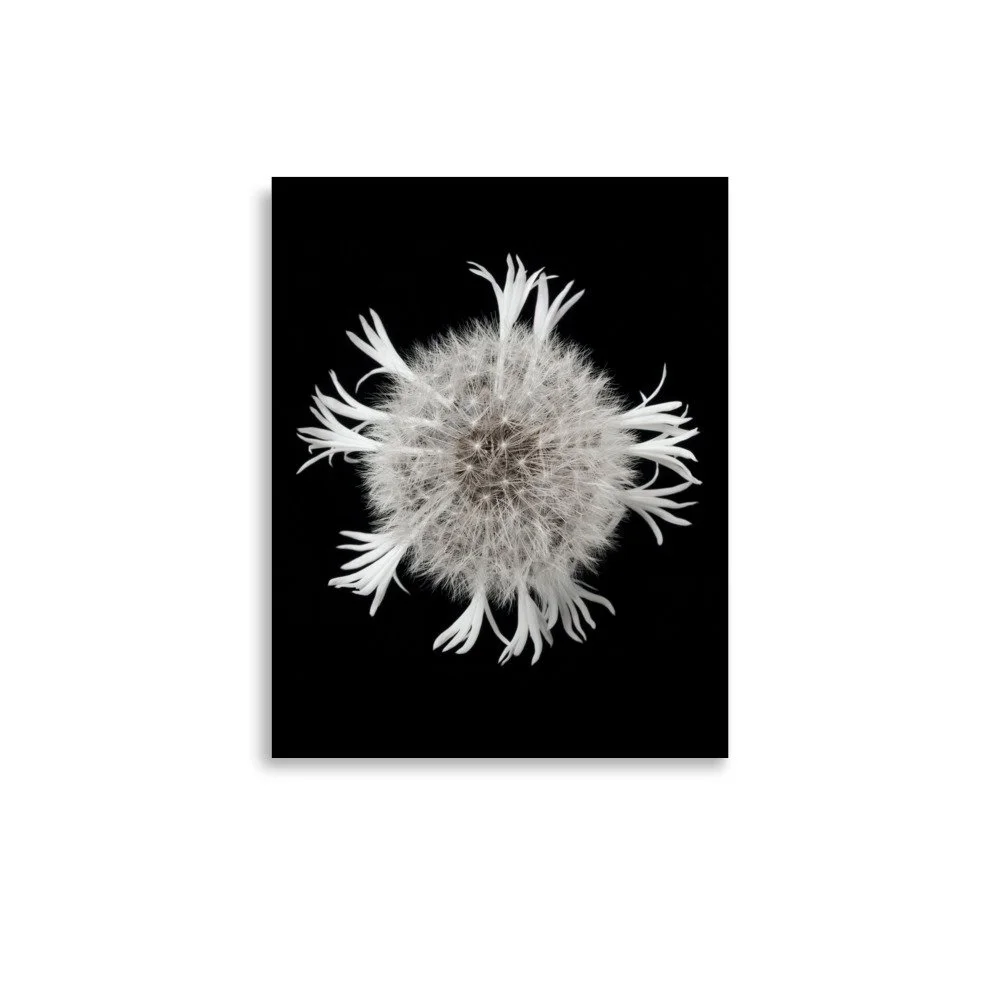 enhanced-matte-paper-poster-(in)-11x14-front-6a90ccaaae1fe.jpg