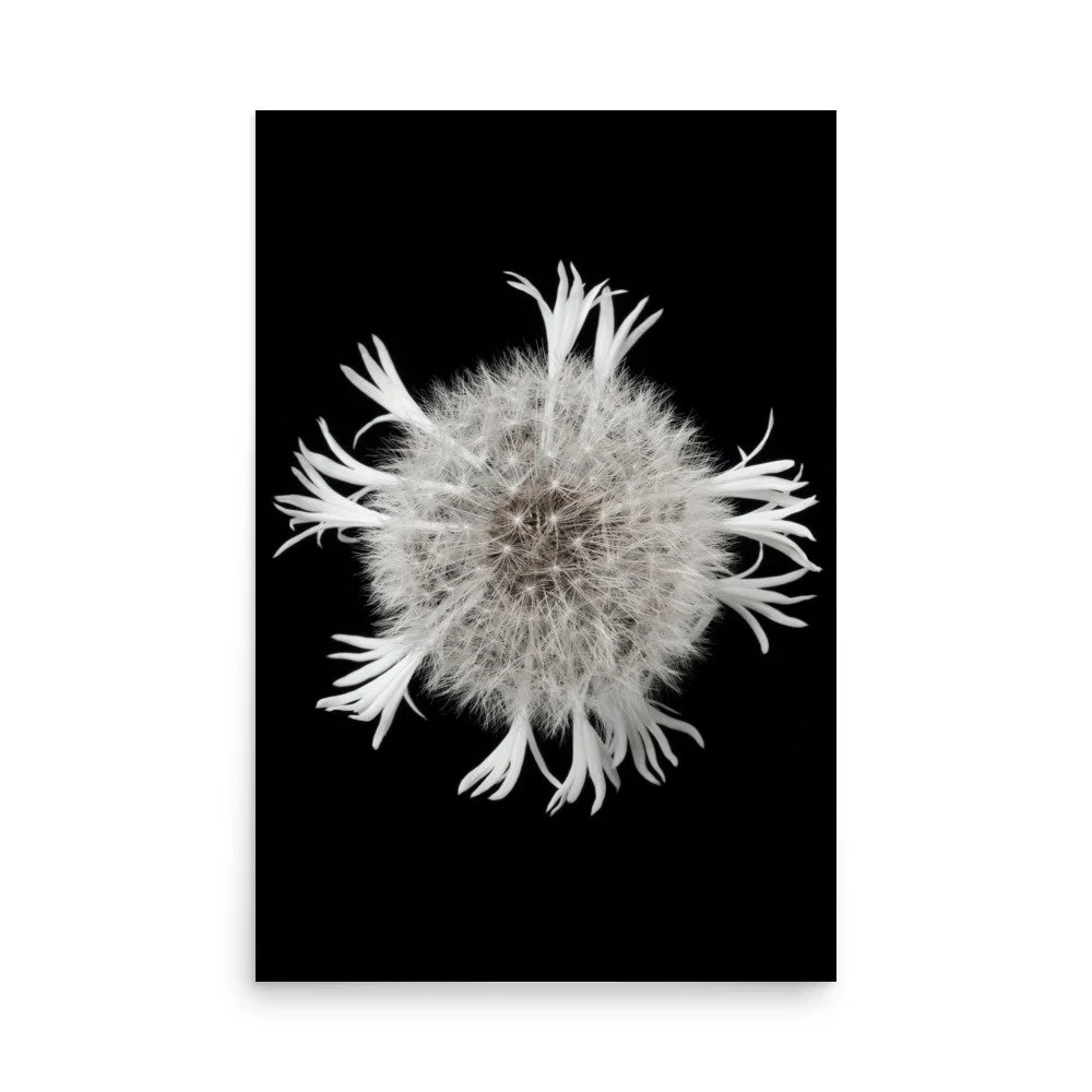 enhanced-matte-paper-poster-(in)-24x36-front-6a90ccaaae27d.jpg