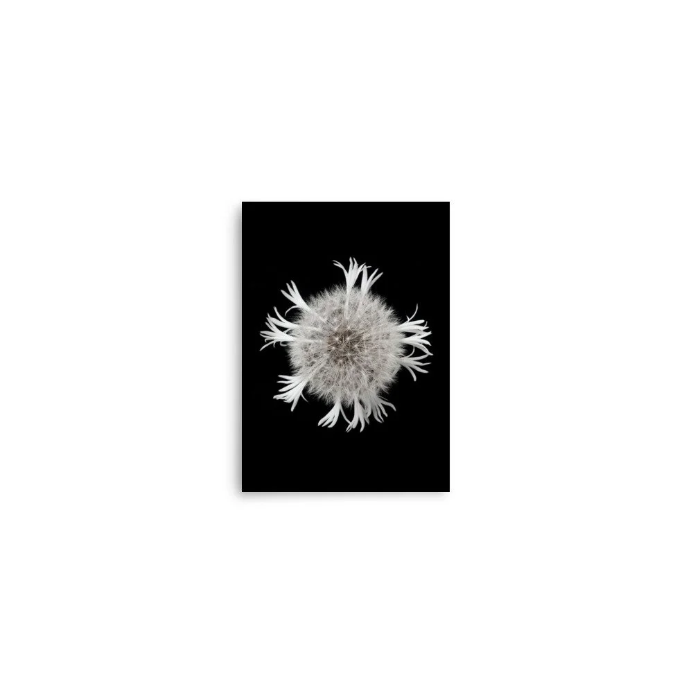 enhanced-matte-paper-poster-(in)-5x7-front-6a90ccaaae2e1.jpg
