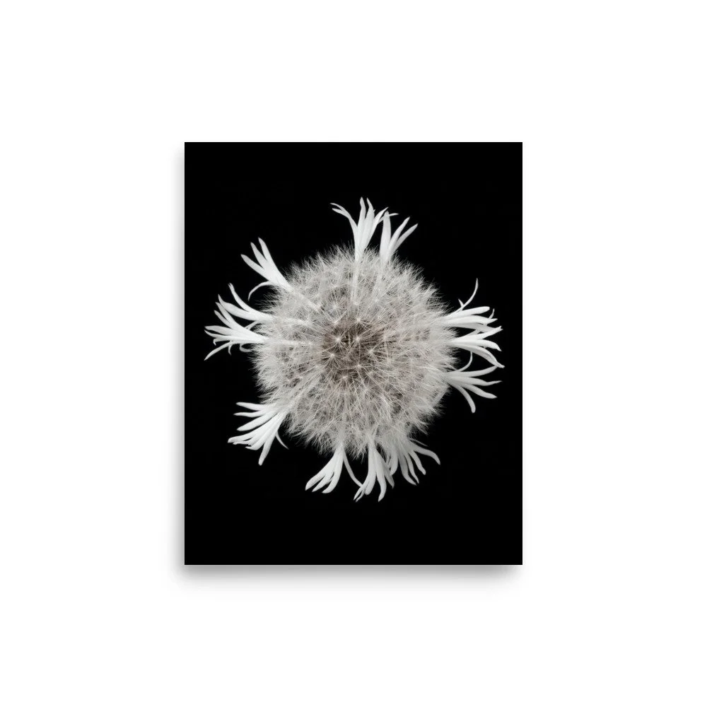 enhanced-matte-paper-poster-(in)-8x10-front-6a90ccaaae322.jpg