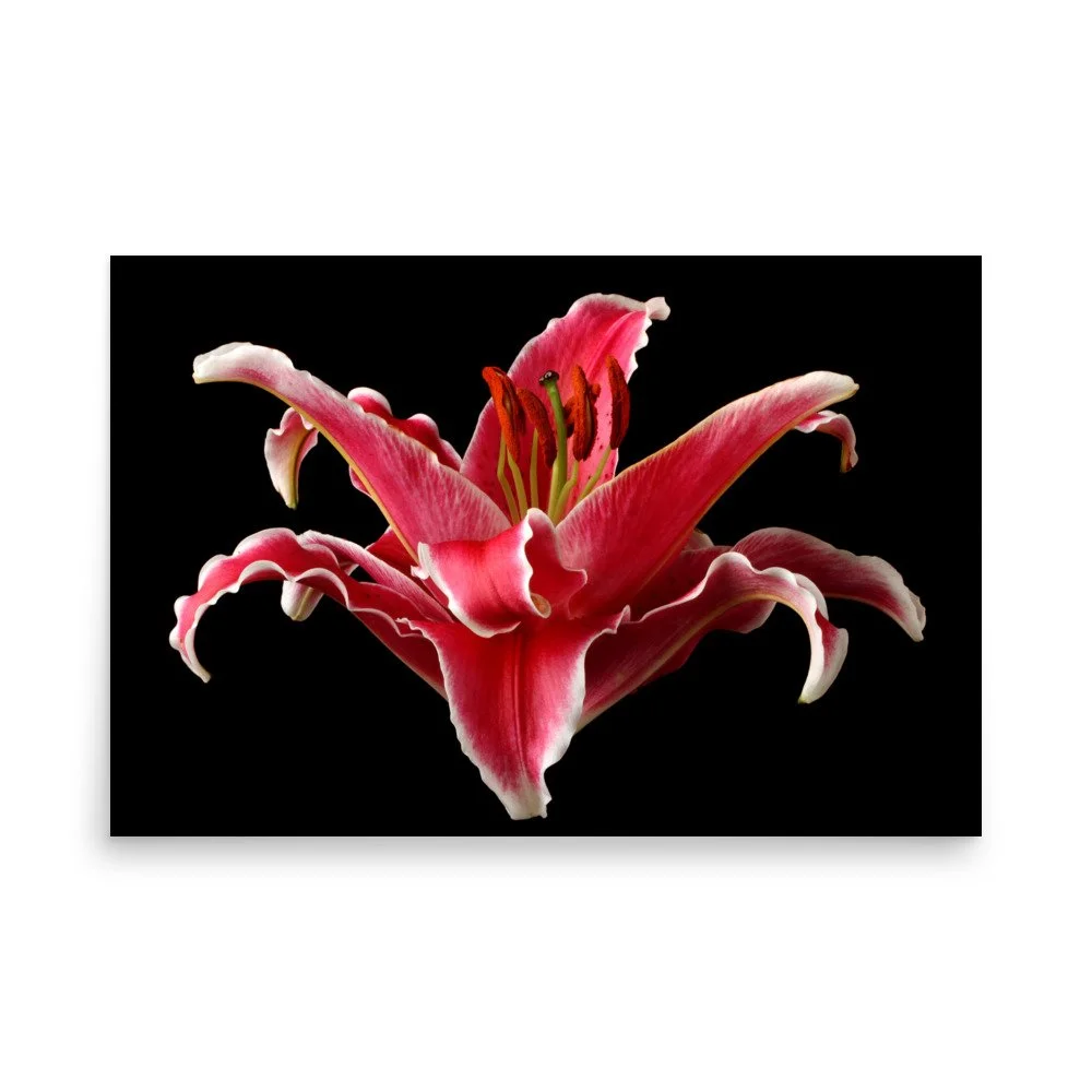 enhanced-matte-paper-poster-(in)-24x36-front-6a90d1eb1ac30.jpg