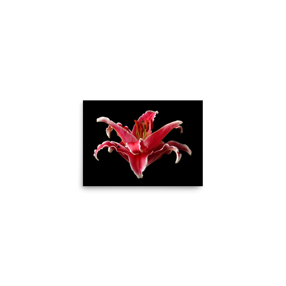 enhanced-matte-paper-poster-(in)-5x7-front-6a90d1eb1ac93.jpg