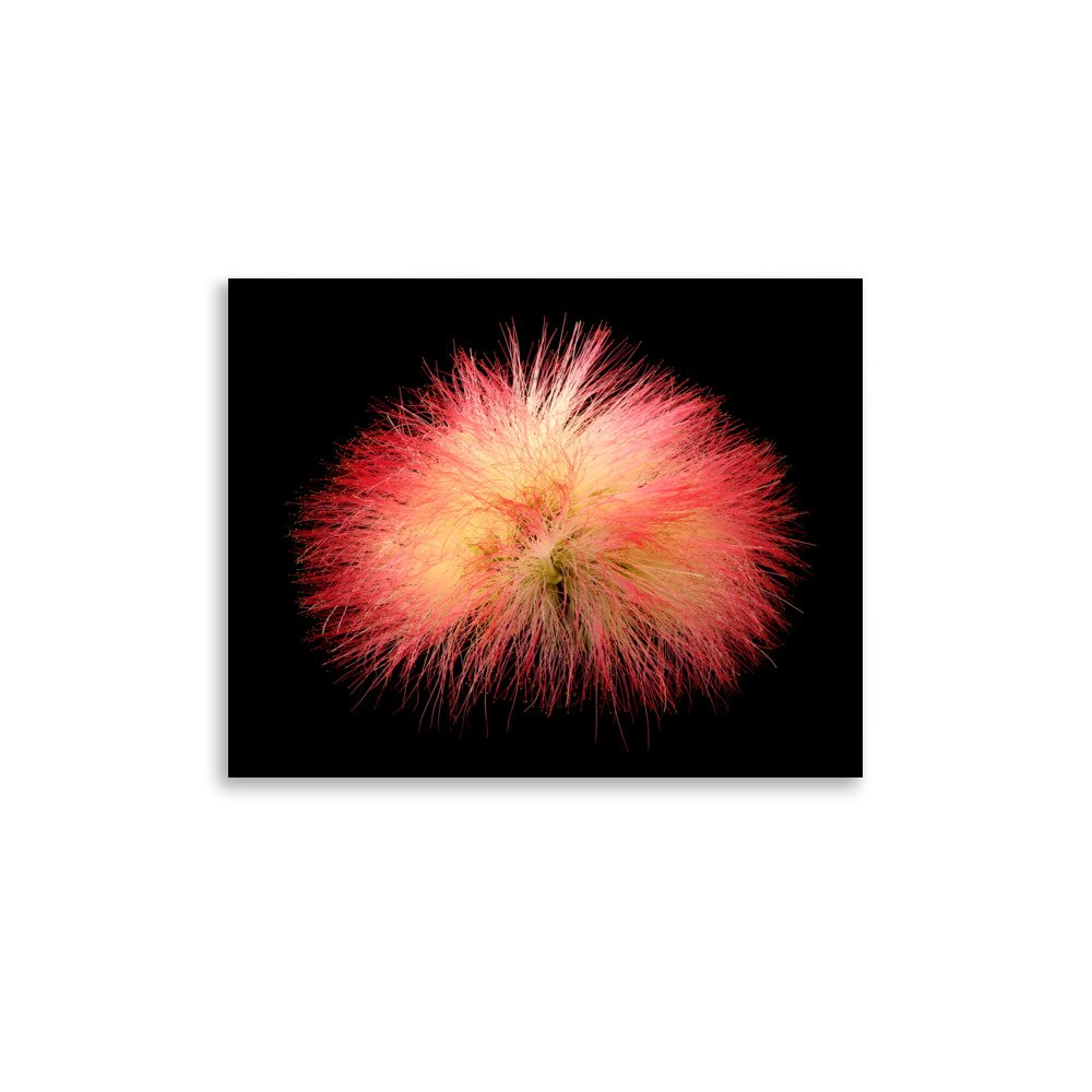 enhanced-matte-paper-poster-(in)-11x14-front-6a91d5622d8ab.jpg