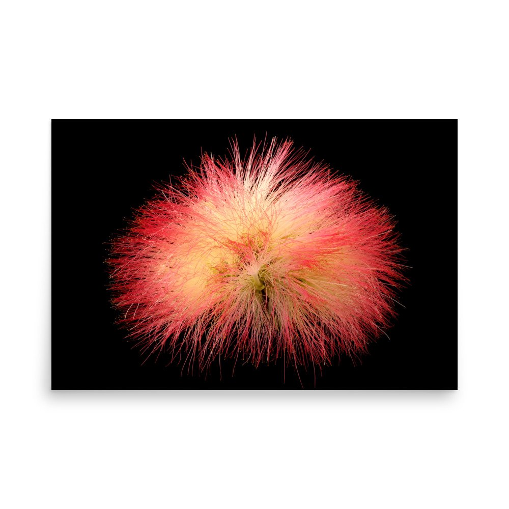 enhanced-matte-paper-poster-(in)-24x36-front-6a91d5622d942.jpg