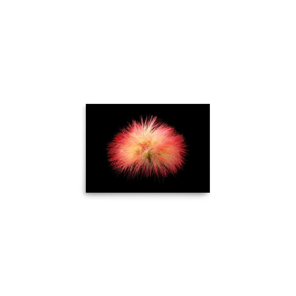 enhanced-matte-paper-poster-(in)-5x7-front-6a91d5622d9a6.jpg