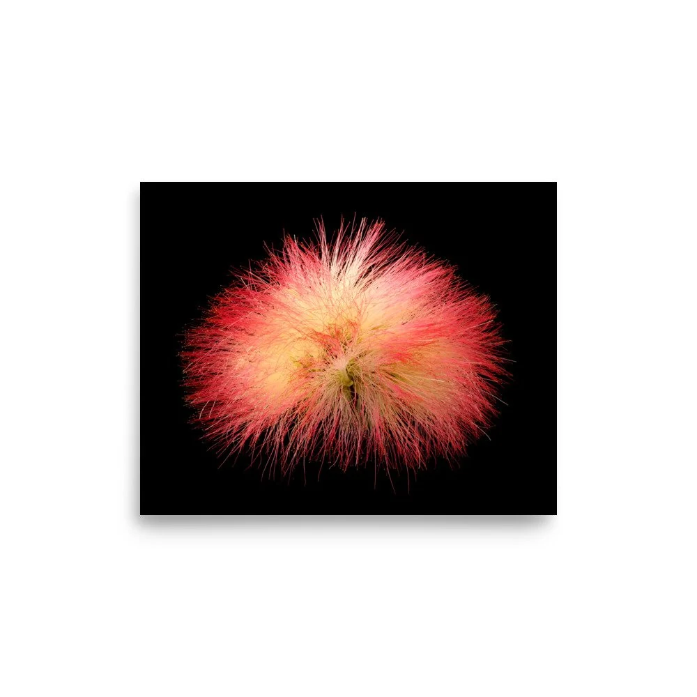 enhanced-matte-paper-poster-(in)-8x10-front-6a91d5622d9db.jpg
