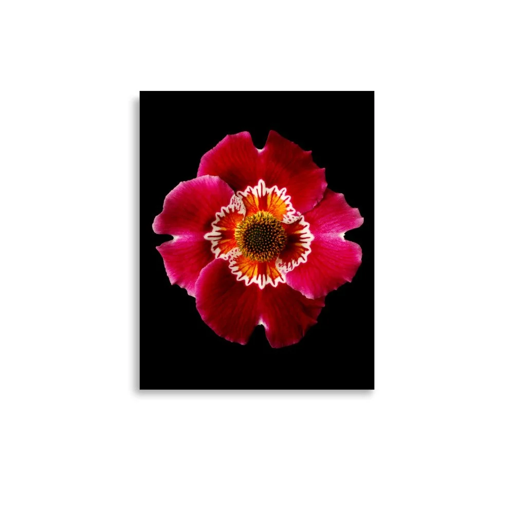 enhanced-matte-paper-poster-(in)-11x14-front-6a92e20982e1c.jpg
