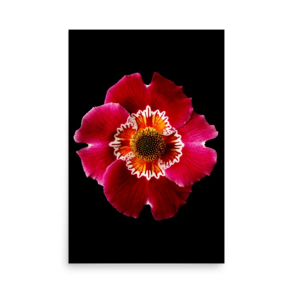 enhanced-matte-paper-poster-(in)-24x36-front-6a92e20982e8f.jpg