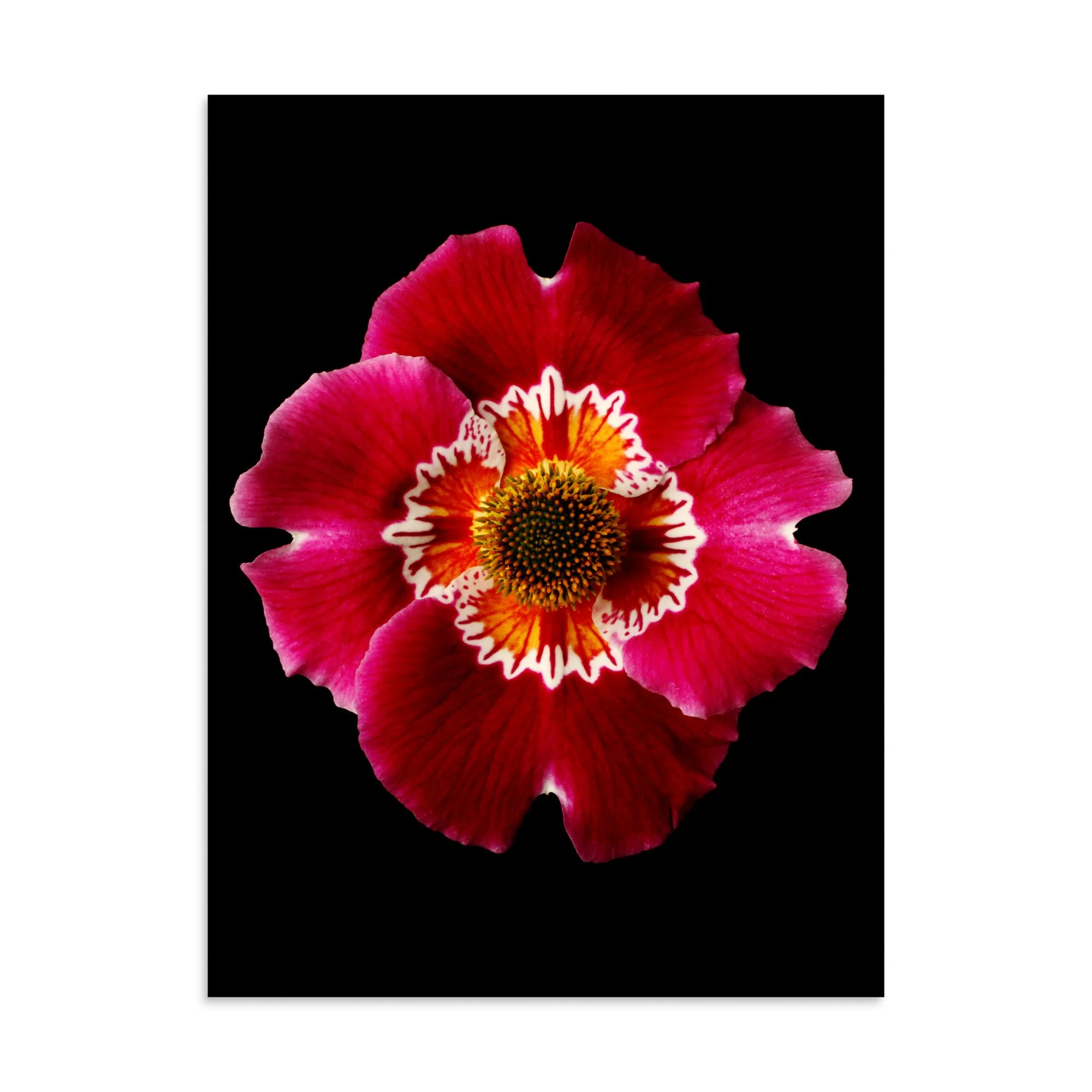enhanced-matte-paper-poster-(in)-30x40-front-6a92e20982ed1.jpg
