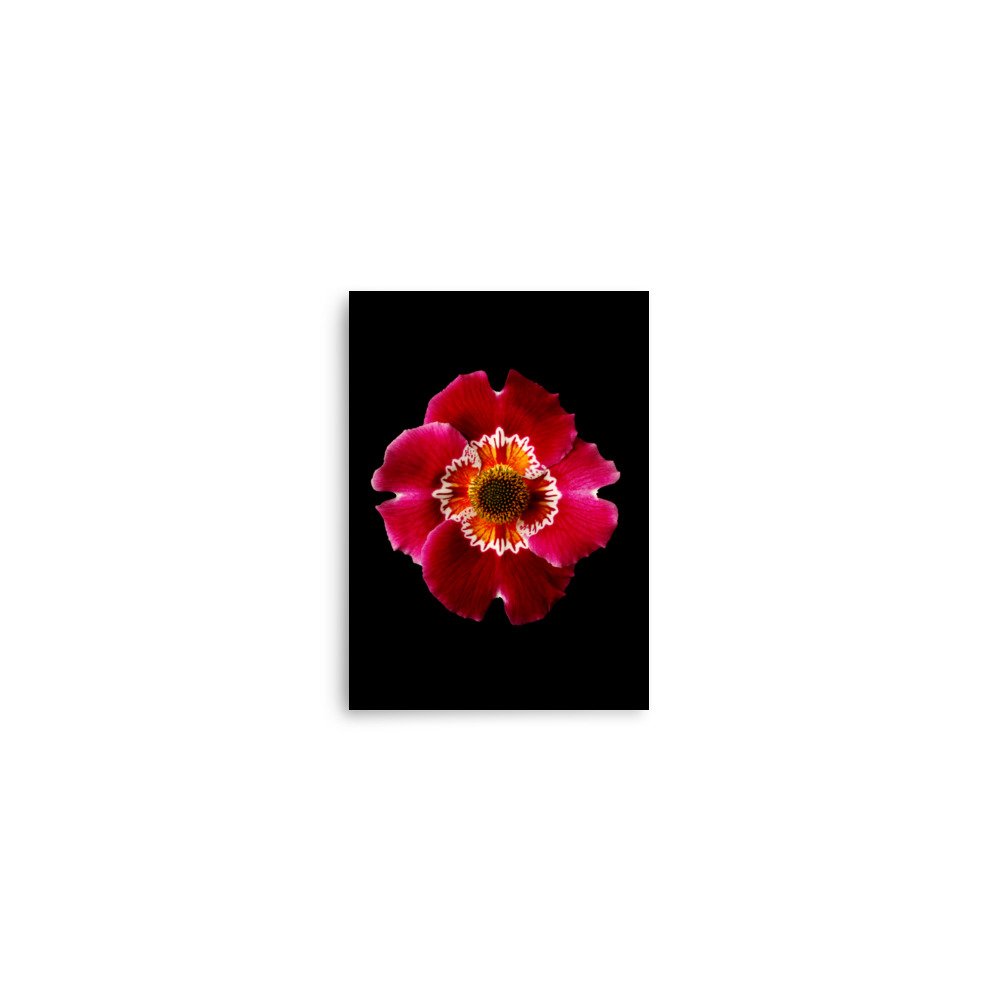 enhanced-matte-paper-poster-(in)-5x7-front-6a92e20982eef.jpg