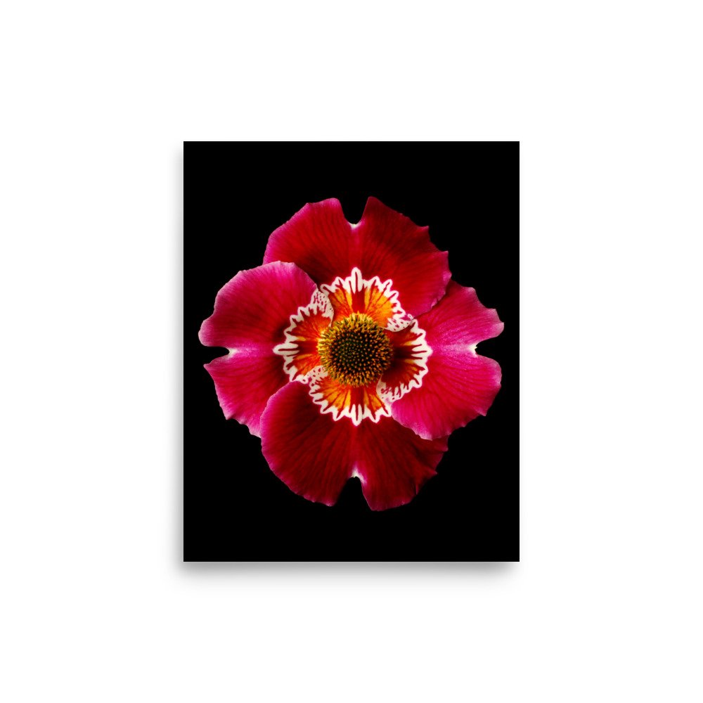 enhanced-matte-paper-poster-(in)-8x10-front-6a92e20982f22.jpg