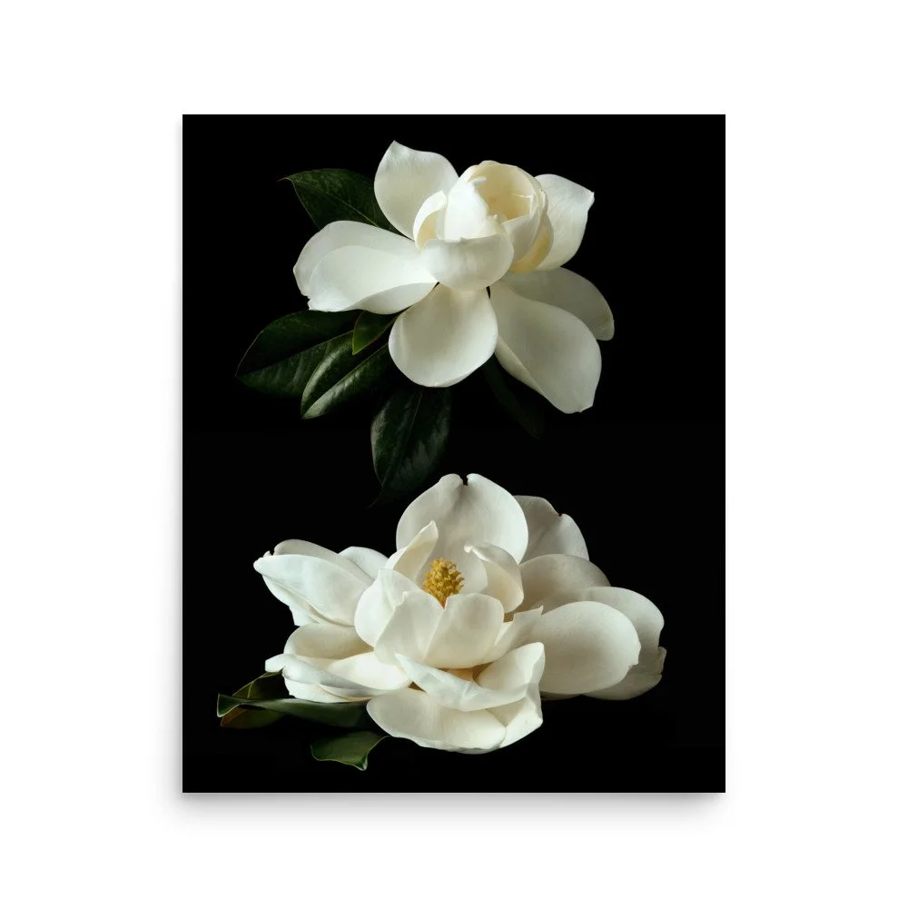 enhanced-matte-paper-poster-(in)-16x20-front-6a9c1abd6f0d1.jpg