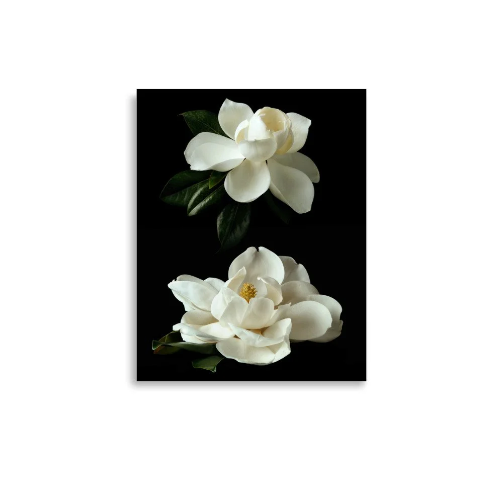 enhanced-matte-paper-poster-(in)-11x14-front-6a9c1abd7041c.jpg