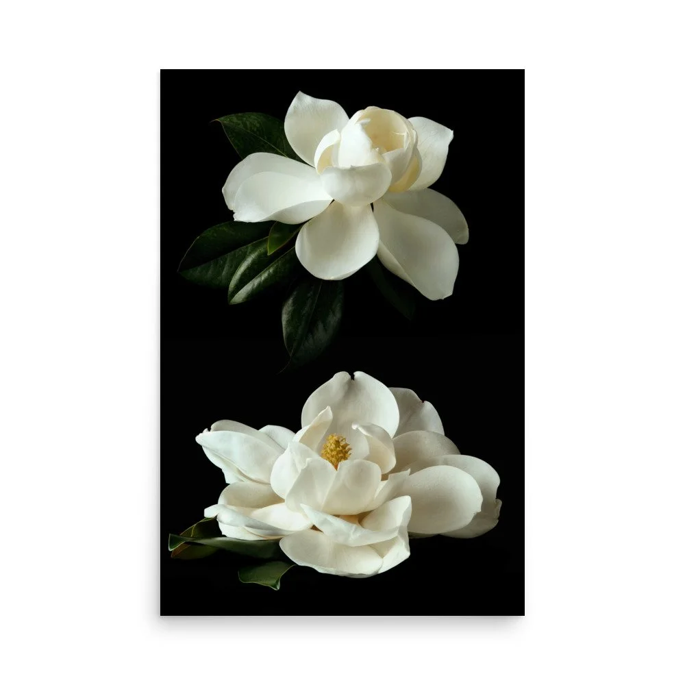 enhanced-matte-paper-poster-(in)-24x36-front-6a9c1abd704b0.jpg