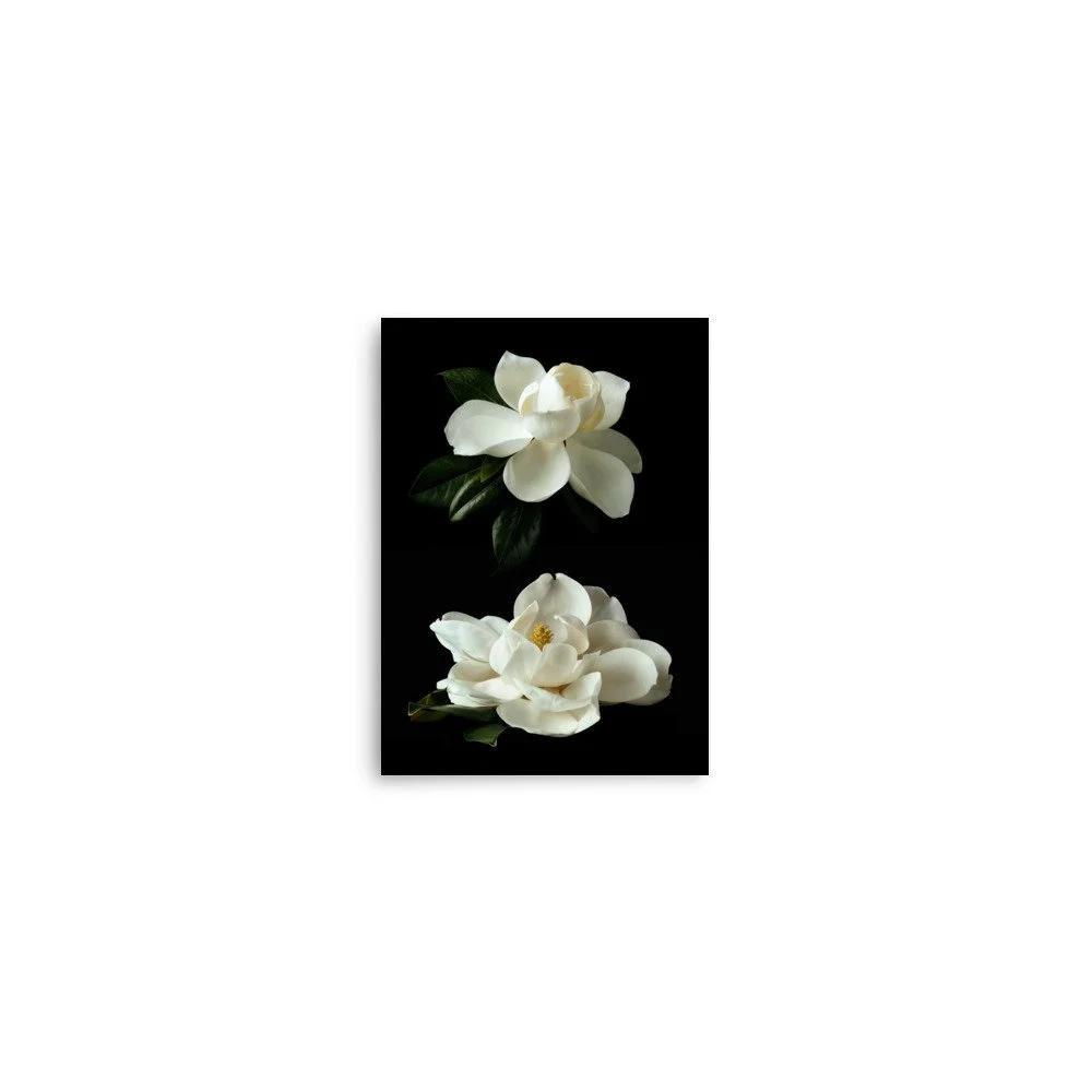 enhanced-matte-paper-poster-(in)-5x7-front-6a9c1abd70514.jpg