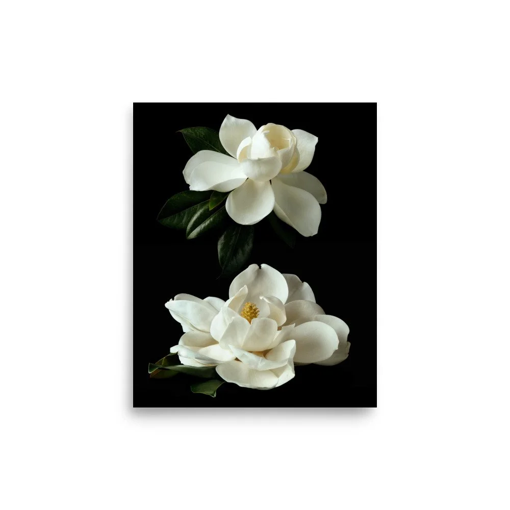 enhanced-matte-paper-poster-(in)-8x10-front-6a9c1abd70548.jpg