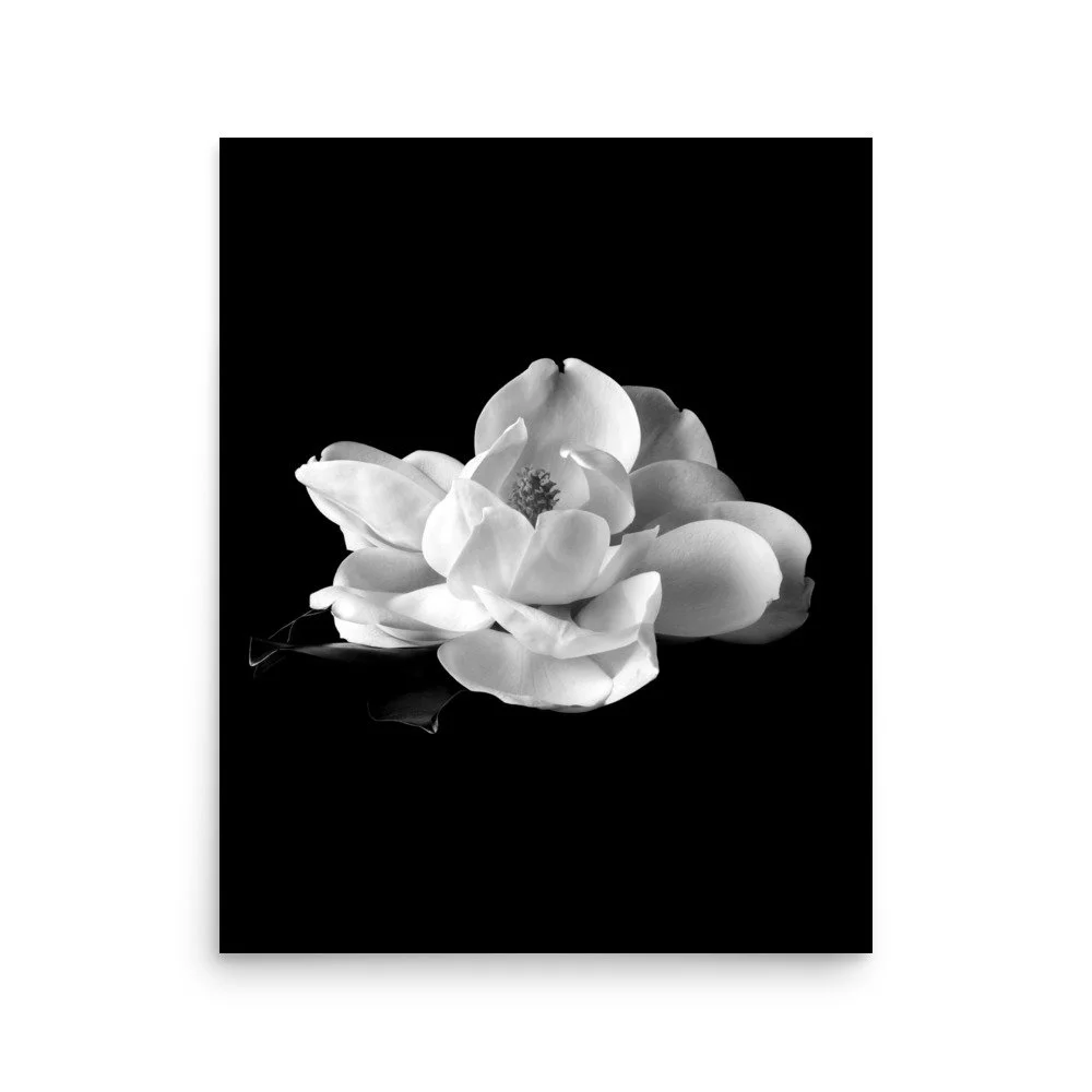 enhanced-matte-paper-poster-(in)-16x20-front-6a9c223382ae8.jpg