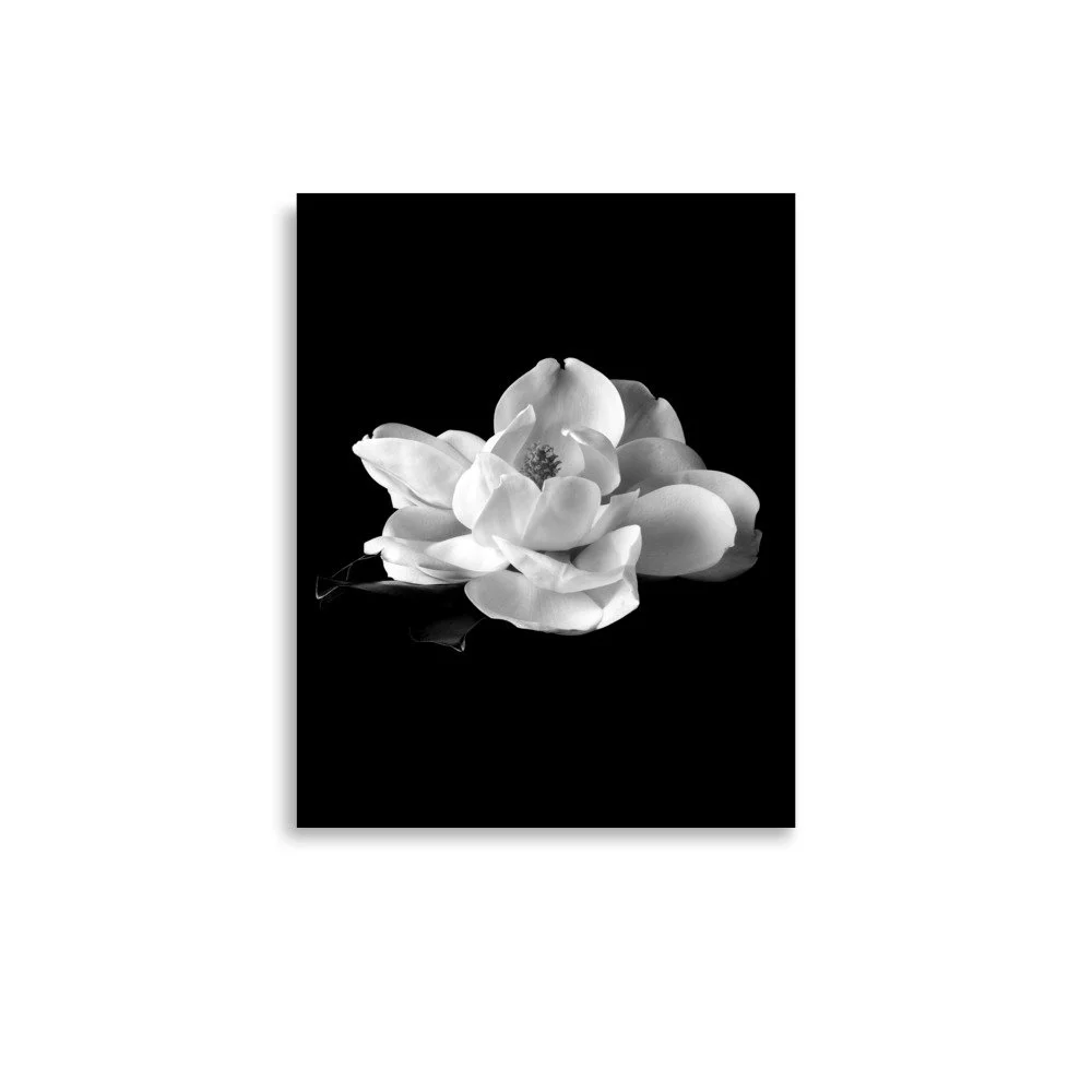 enhanced-matte-paper-poster-(in)-11x14-front-6a9c2233835cf.jpg