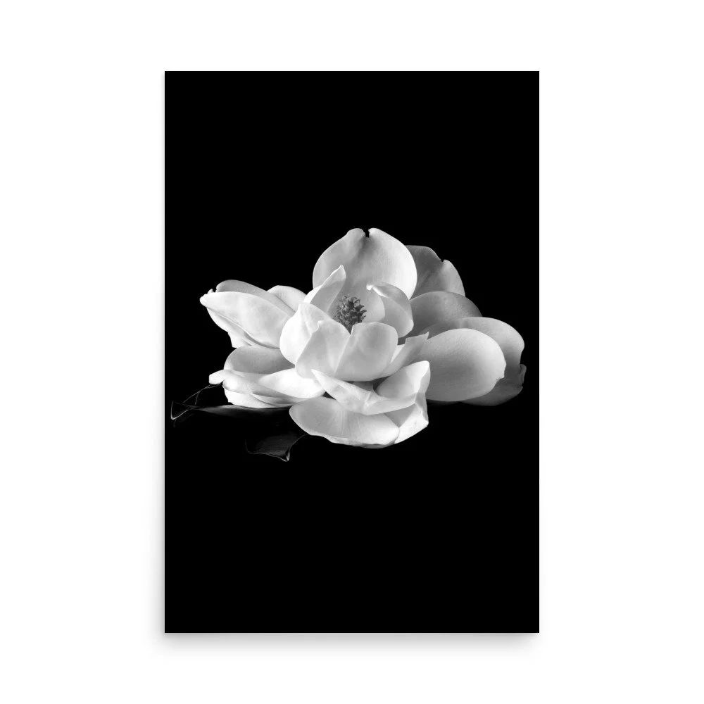 enhanced-matte-paper-poster-(in)-24x36-front-6a9c223383656.jpg