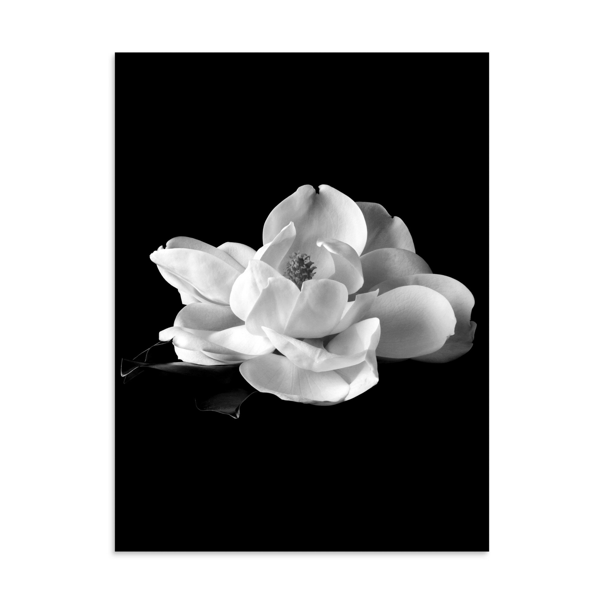 enhanced-matte-paper-poster-(in)-30x40-front-6a9c223383699.jpg