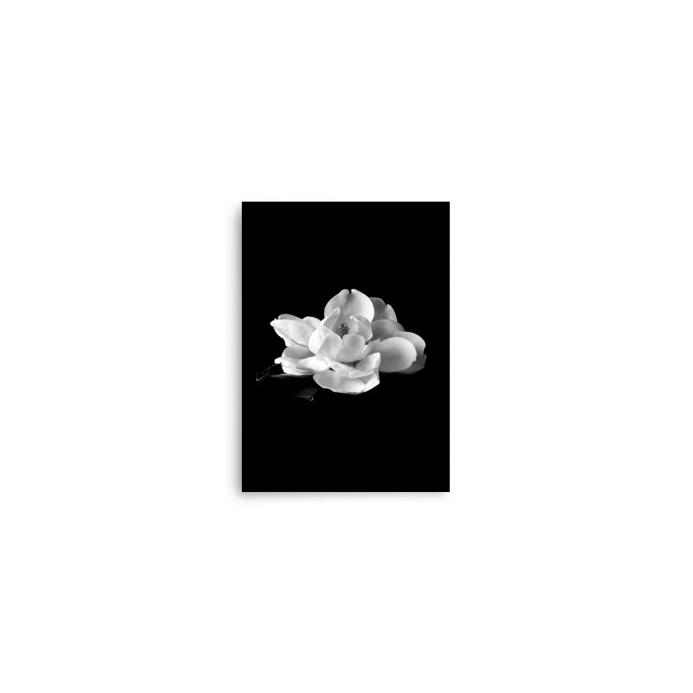 enhanced-matte-paper-poster-(in)-5x7-front-6a9c2233836b6.jpg