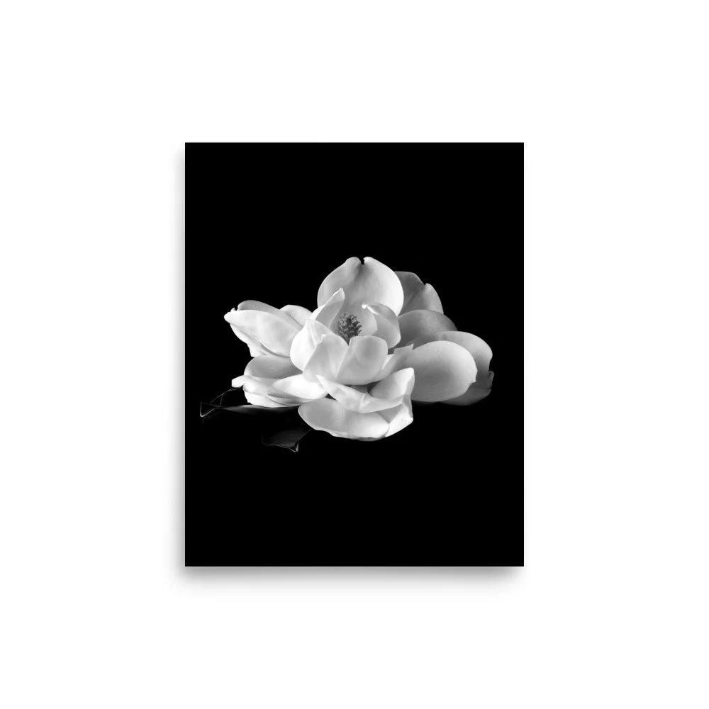 enhanced-matte-paper-poster-(in)-8x10-front-6a9c2233836e9.jpg
