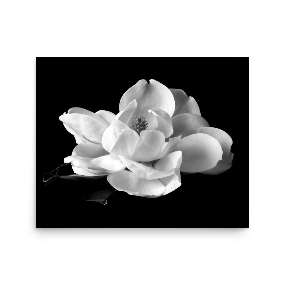 enhanced-matte-paper-poster-(in)-16x20-front-6a9c24273d110.jpg
