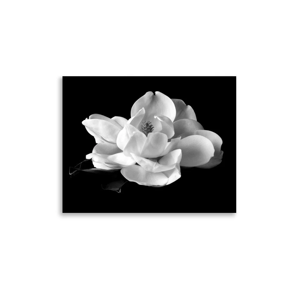 enhanced-matte-paper-poster-(in)-11x14-front-6a9c24273e23c.jpg